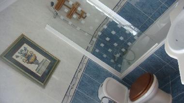 Holiday House in nazare (Pinhal Litoral) or holiday homes and vacation rentals
