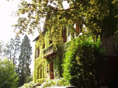 Bed and Breakfast in Saint Amans Soult (Tarn) or holiday homes and vacation rentals