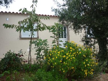 Holiday House in cernache do bonjardim (Pinhal Interior Sul) or holiday homes and vacation rentals