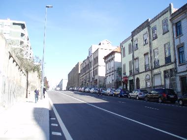 our building is between 2 large hotels and 2 city gardens.