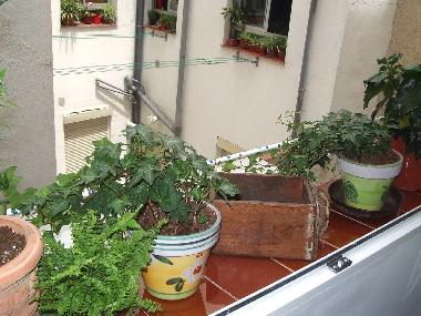 Holiday Apartment in Madrid (Madrid) or holiday homes and vacation rentals