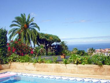 Holiday House in Puerto de la Cruz (Teneriffa) or holiday homes and vacation rentals