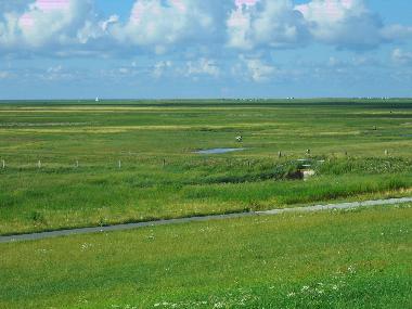 Holiday House in Spieka-Neufeld (Land zwischen Elbe u. Weser) or holiday homes and vacation rentals