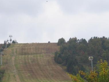 Holiday Apartment in Willingen (Sauerland) or holiday homes and vacation rentals