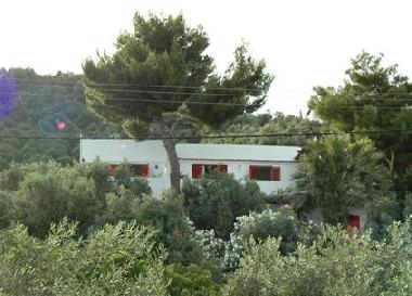 Holiday House in Skiathos (Magnisia) or holiday homes and vacation rentals