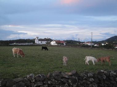 Bed and Breakfast in Almagreira (Azores) or holiday homes and vacation rentals