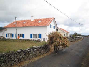 Bed and Breakfast in Almagreira (Azores) or holiday homes and vacation rentals