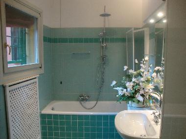 Bathroom with shower (1)