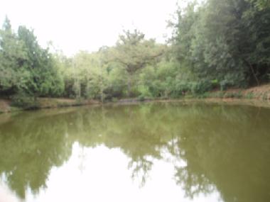 Holiday House in St Priest la March (Centre) or holiday homes and vacation rentals