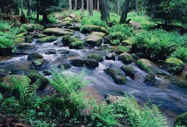 Holiday Apartment in Vohenstrau (Upper Palatinate) or holiday homes and vacation rentals