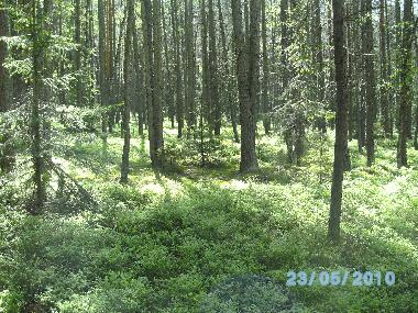 Holiday Apartment in Vohenstrau (Upper Palatinate) or holiday homes and vacation rentals