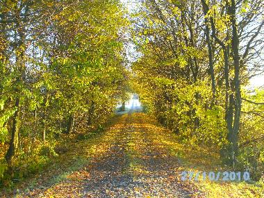Holiday Apartment in Vohenstrau (Upper Palatinate) or holiday homes and vacation rentals