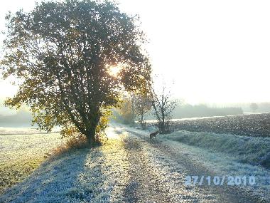 Holiday Apartment in Vohenstrau (Upper Palatinate) or holiday homes and vacation rentals