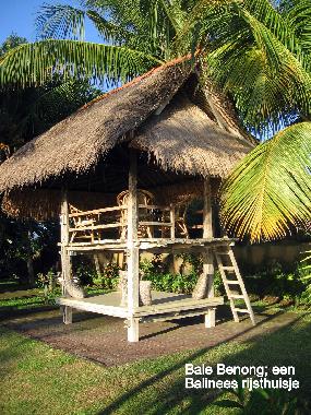 Holiday House in Dencarik (Bali) or holiday homes and vacation rentals