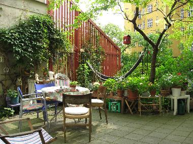Back yard detail