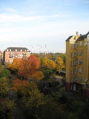 View from Kitchen (October)