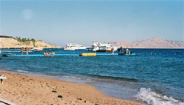 Sharks Bay for snorkelling and diving