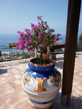 Holiday Apartment in 84059  (Salerno) or holiday homes and vacation rentals