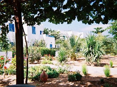View of the garden