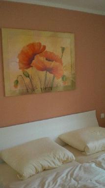 Holiday Apartment in Zingst (Fischland-Dar-Zingst) or holiday homes and vacation rentals