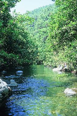 Holiday House in Assos-Tahtakuslar (Canakkale) or holiday homes and vacation rentals