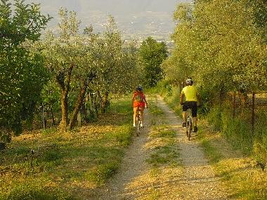Holiday Apartment in cannara (Perugia) or holiday homes and vacation rentals