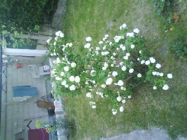 Holiday House in Bobigny (Seine-Saint-Denis) or holiday homes and vacation rentals