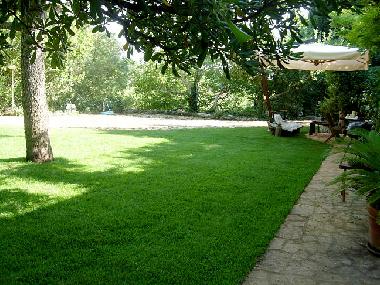 Holiday Apartment in Martina Franca (Brindisi) or holiday homes and vacation rentals