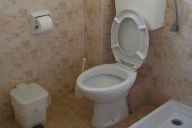 Holiday Apartment in Psakoudia (Chalkidiki) or holiday homes and vacation rentals