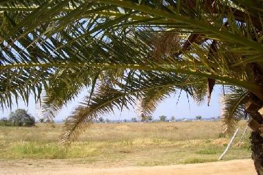 Holiday Apartment in Psakoudia (Chalkidiki) or holiday homes and vacation rentals