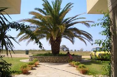 Holiday Apartment in Psakoudia (Chalkidiki) or holiday homes and vacation rentals