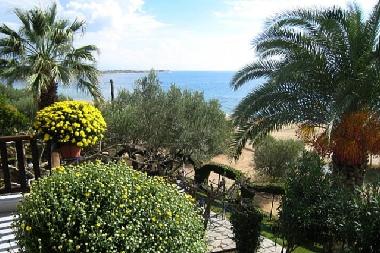 Holiday Apartment in Psakoudia (Chalkidiki) or holiday homes and vacation rentals