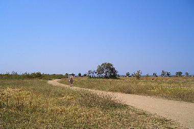 Holiday Apartment in Psakoudia (Chalkidiki) or holiday homes and vacation rentals