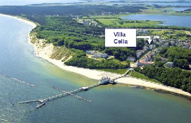 Holiday Apartment in Sellin (Ostsee-Inseln) or holiday homes and vacation rentals