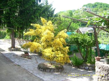 Esterno Casa di Vacanza