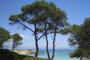 Holiday House in Psakoudia (Chalkidiki) or holiday homes and vacation rentals