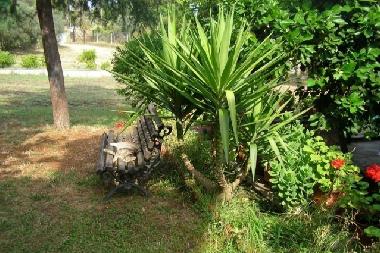 Holiday House in Sithonia (Chalkidiki) or holiday homes and vacation rentals