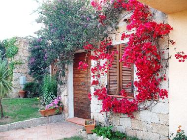 Holiday Apartment in Baja Sardinia (Olbia-Tempio) or holiday homes and vacation rentals