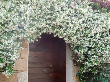 Holiday Apartment in Baja Sardinia (Olbia-Tempio) or holiday homes and vacation rentals