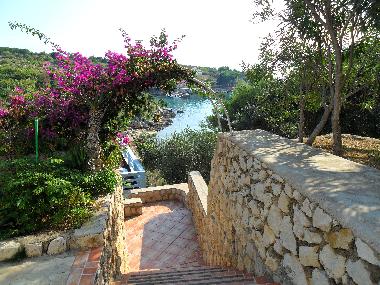 Bed and Breakfast in Lile Pag Novalja  (Licko-Senjska) or holiday homes and vacation rentals