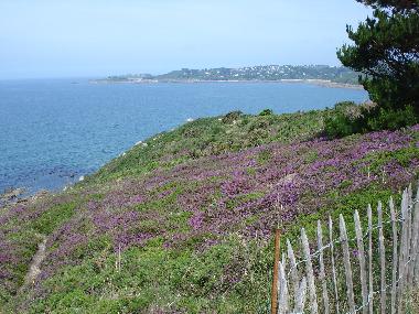 Holiday House in GUIMAEC (Finistre) or holiday homes and vacation rentals