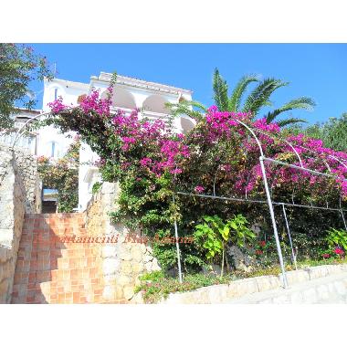 Holiday Apartment in Novalja (Primorsko-Goranska) or holiday homes and vacation rentals