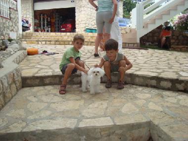 Holiday Apartment in Novalja (Primorsko-Goranska) or holiday homes and vacation rentals