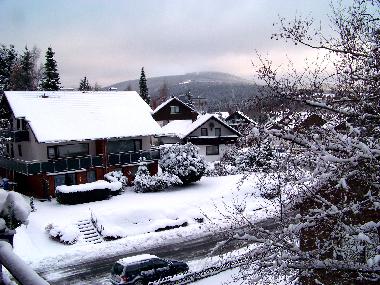 Holiday Apartment in Braunlage (Harz) or holiday homes and vacation rentals