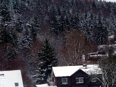 Holiday Apartment in Braunlage (Harz) or holiday homes and vacation rentals