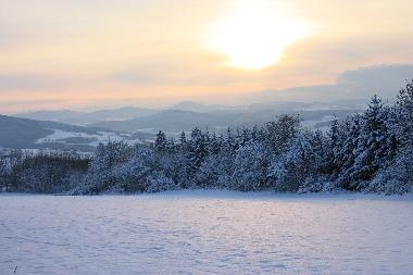 Holiday Apartment in Tann(Rhn) (Rhn) or holiday homes and vacation rentals