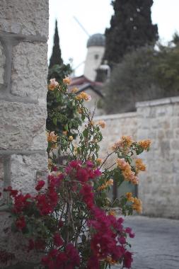 Holiday Apartment in Jerusalem (Yerushalayim (Jerusalem)) or holiday homes and vacation rentals