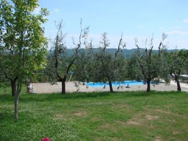Holiday House in Civitella (Arezzo) or holiday homes and vacation rentals