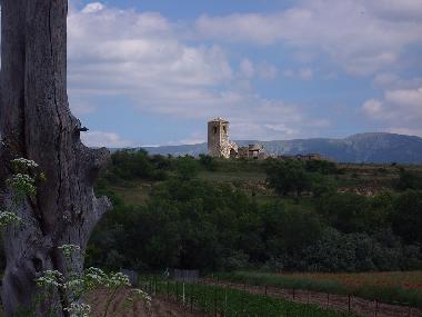 Holiday House in Santiuste de Pedraza (Segovia) or holiday homes and vacation rentals