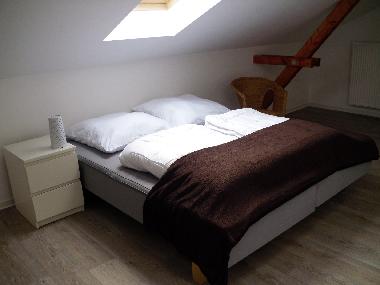 Holiday Apartment in Sassnitz (Ostsee-Inseln) or holiday homes and vacation rentals